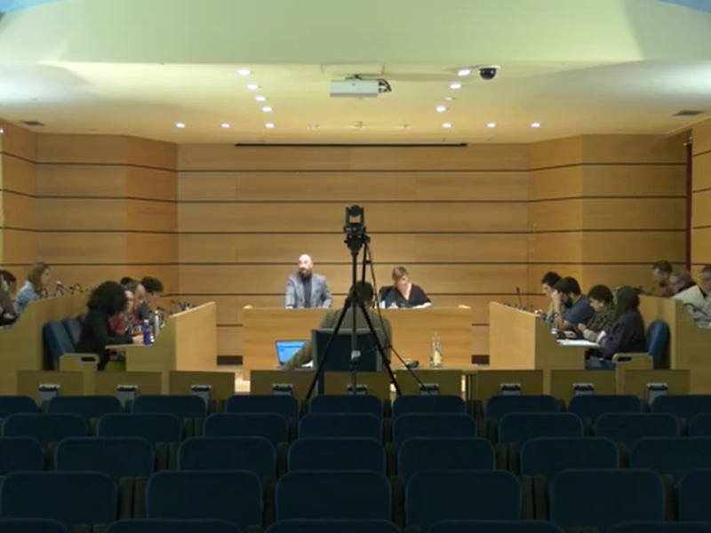 Imagen de la sesión plenaria celebrada el 28 de noviembre de 2024.