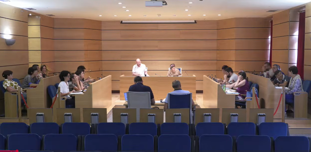 Pleno Municipal celebrado el 29 de junio de 2026.