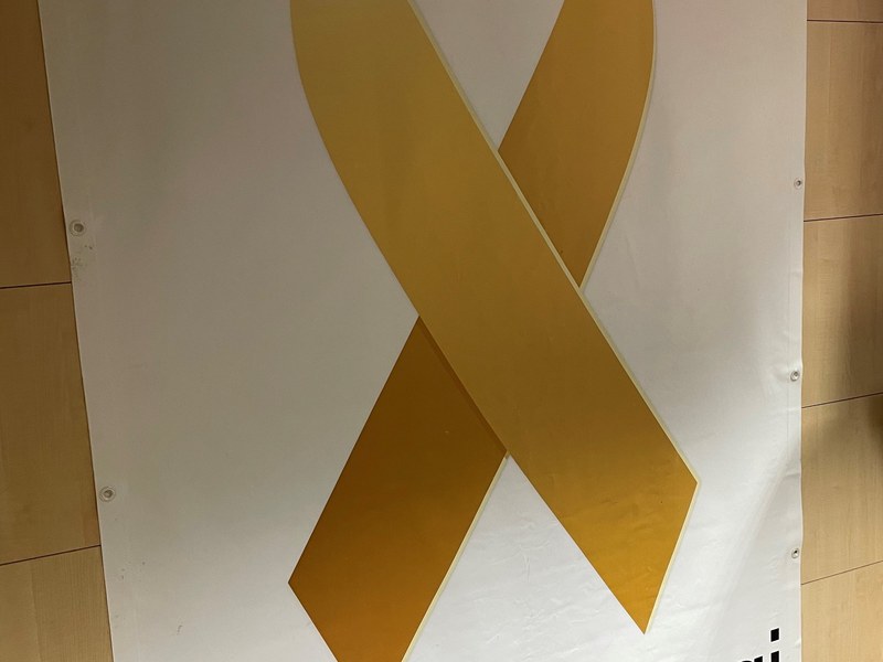 El Ayuntamiento de Eibar se suma al Mes de Sensibilización del Cáncer Infantil, siendo este jueves, 29 de septiembre, el día central de la campaña.