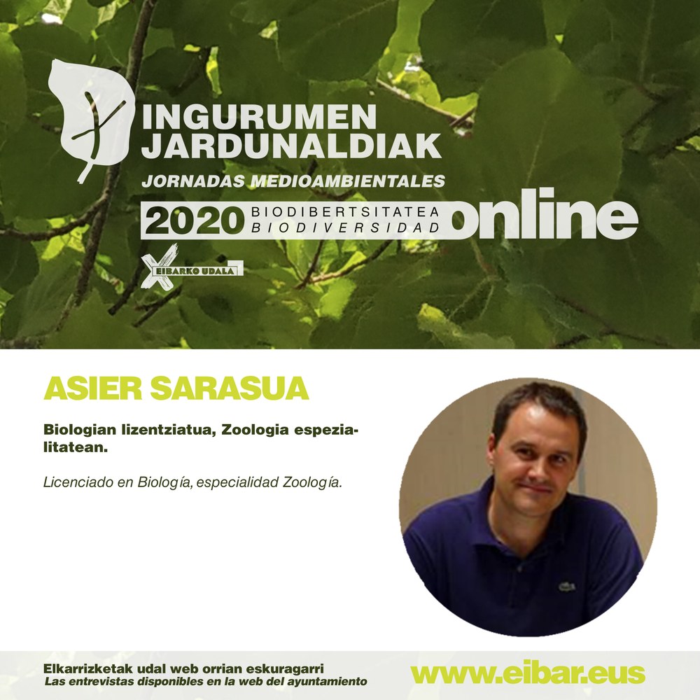 Jornadas Medioambientales: Disponible la primera entrevista realizada al biólogo eibarrés Asier Sarasua en la web eibar.eus, así como en el canal de YouTube del Ayuntamiento Cartel de la entrevista realizada al biólogo eibarrés Asier Sarasua.