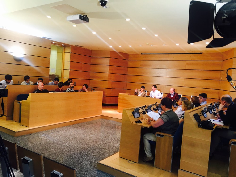 Pleno Municipal