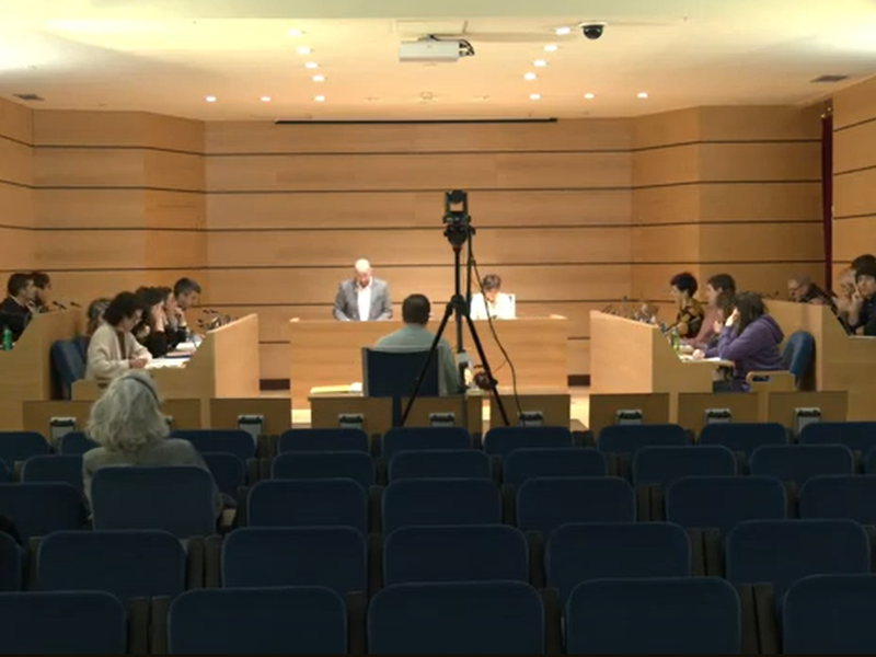  Sesión plenaria celebrada el 29 de enero de 2024.