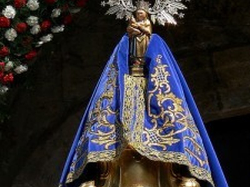 bienapa