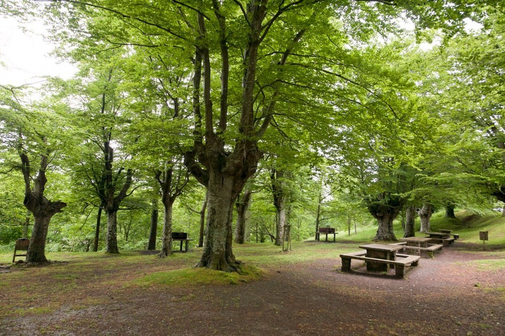 Fiestas de San Isidro