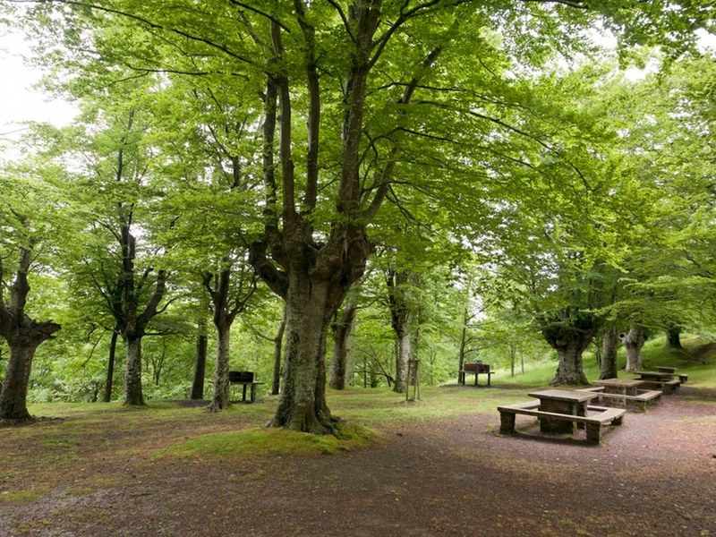 Fiestas de San Isidro