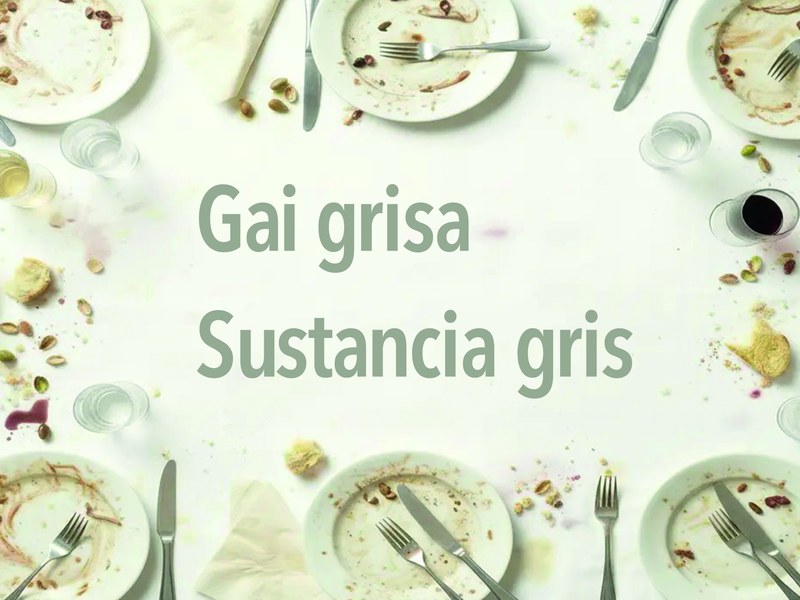 Gai grisa - Sustancia gris