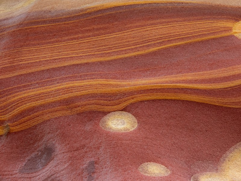 Exposición del Club Deportivo