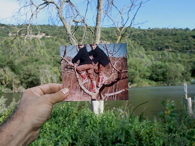 alegria