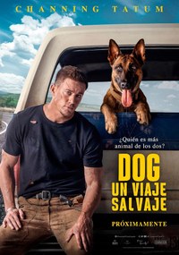 Dog.Un viaje salvaje