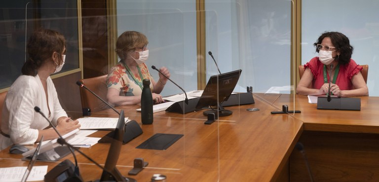 La archivera municipal Yolanda Ruiz Urbón en su comparecencia en el Parlamento vasco.