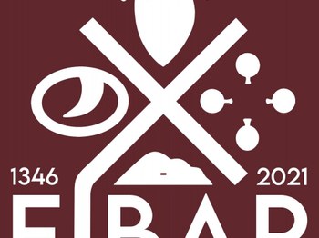 El trabajo de Andrea Garcia Alvarez ha ganado el concurso del logotipo para el 675. aniversario de la fundación de Eibar