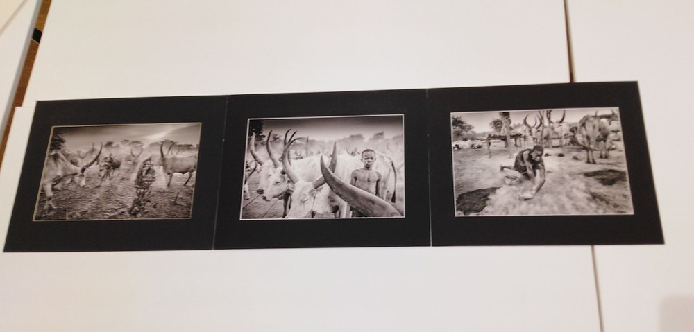 Premios del XXXIII Certamen de fotografía Indalecio Ojanguren 2020 bilduma
