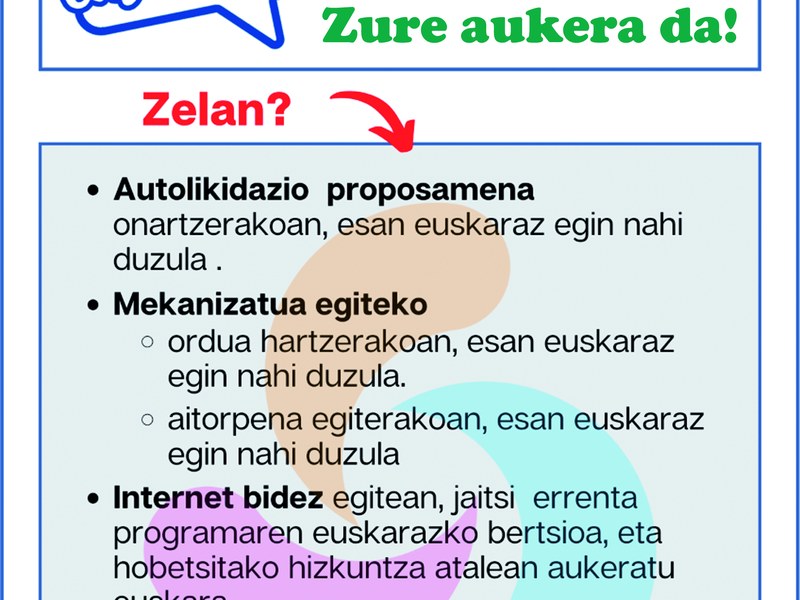 La declaración de la renta, en euskera Kartela