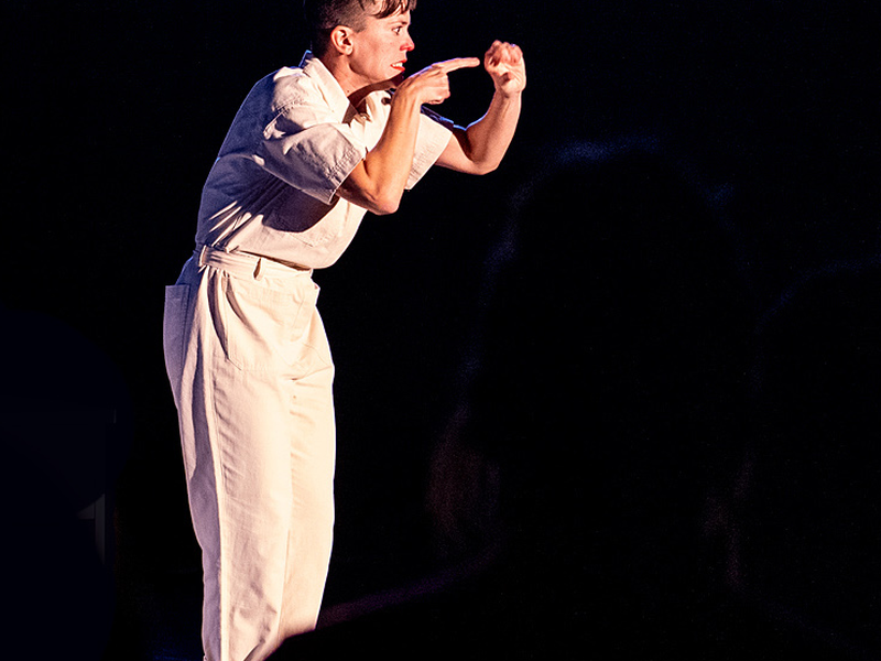 Espectáculo Teatral: Lo Normal