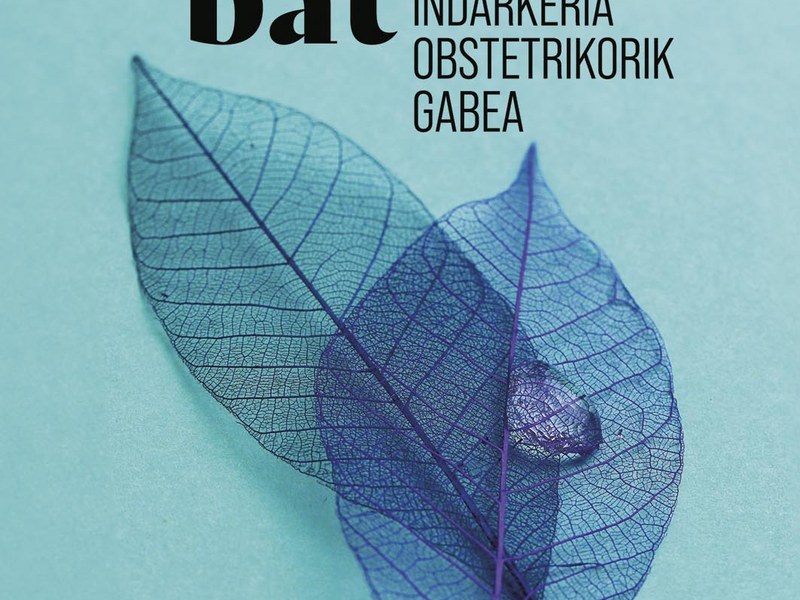 Presentación del libro: Sortze berri bat indarkeria obstetrikorik gabea