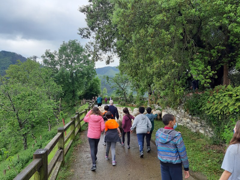 Participación de alumnos/as eibarreses/as en la tercera edición del programa ‘Basarrixa Urretik’.