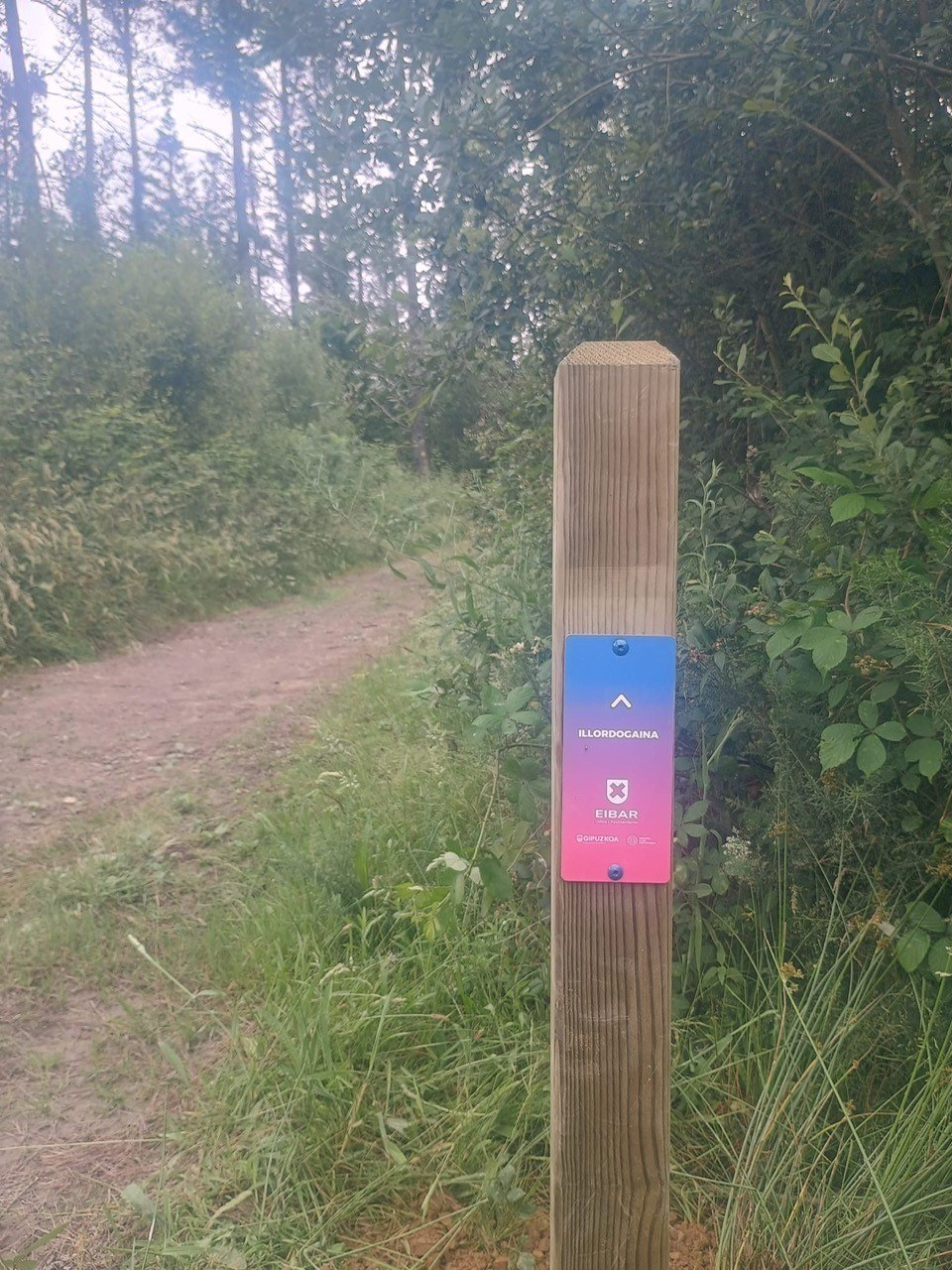 Continúan los trabajos de recuperación de los caminos naturales de Eibar para facilitar a la ciudadanía el contacto con los montes y la biodiversidad próximos a la ciudad Imagen de archivo.