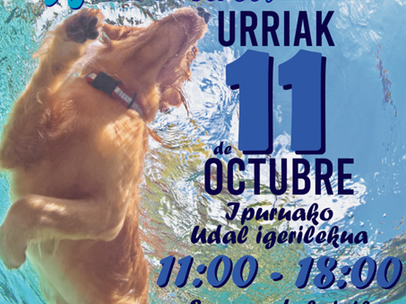 Eibar abre sus piscinas a los perros en una jornada única y divertida