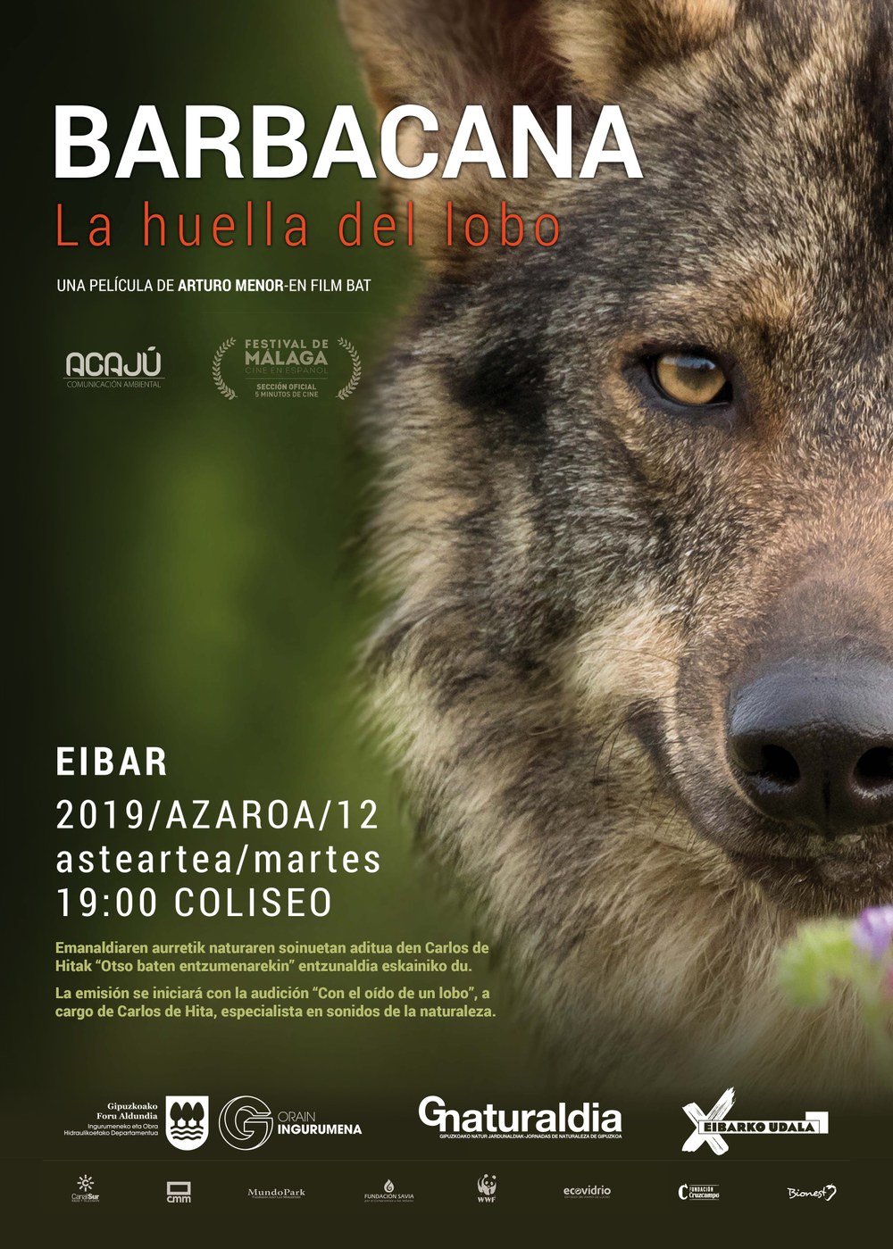 Eibar volverá a ser sede de Gipuzkoa Naturaldia con la proyección de la película "Barbacana, la huella del lobo"