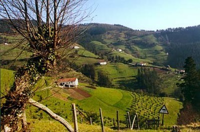El Ayuntamiento asfaltará dos tramos de la pista rural que une la carretera de Arrate con el caserío Agirreazpikoa Imagen: www.egoibarra.eus