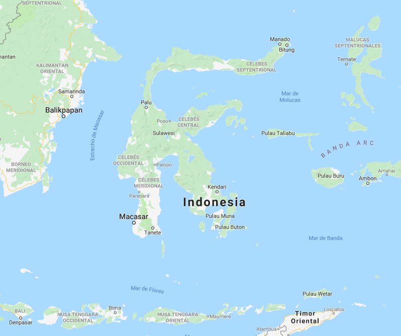 El Ayuntamiento envía una ayuda humanitaria de 2.000 euros a Indonesia