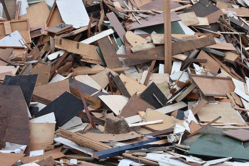 El Ayuntamiento ha recogido y retirado más de 3.000 kilos de residuos del río Ego y de las regatas de Eibar Imagen de archivo (pixabay.com).