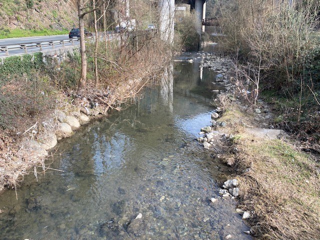 El Ayuntamiento llevará a cabo una campaña de limpieza del río Ego y varias regatas de Eibar a partir de la semana que viene Imagen del río Ego a su paso por Apalategi.