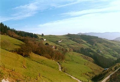 El Ayuntamiento refuerza la seguridad del entorno de los caseríos con la instalación de 400 metros de biondas en los barrios de Mandiola, Aginaga y Arrate Valle de Mandiola. Imagen: www.egoibarra.eus