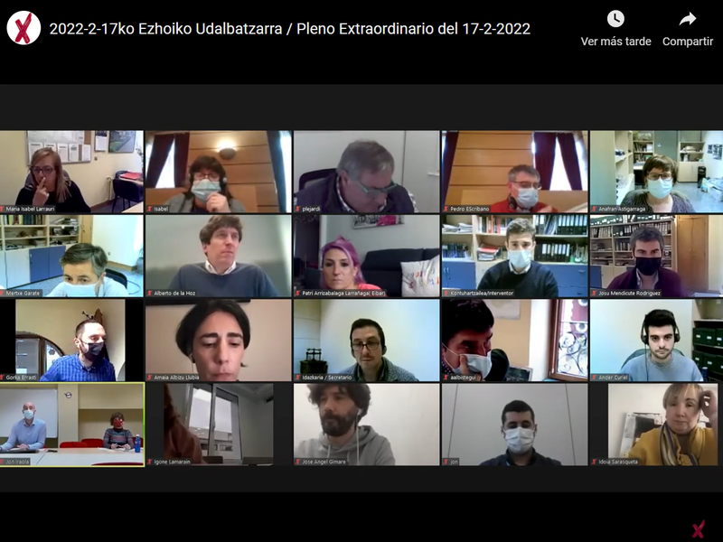 Imagen del Pleno Municipal extraordinario celebrado de manera telemática el 17 de febrero de 2022.