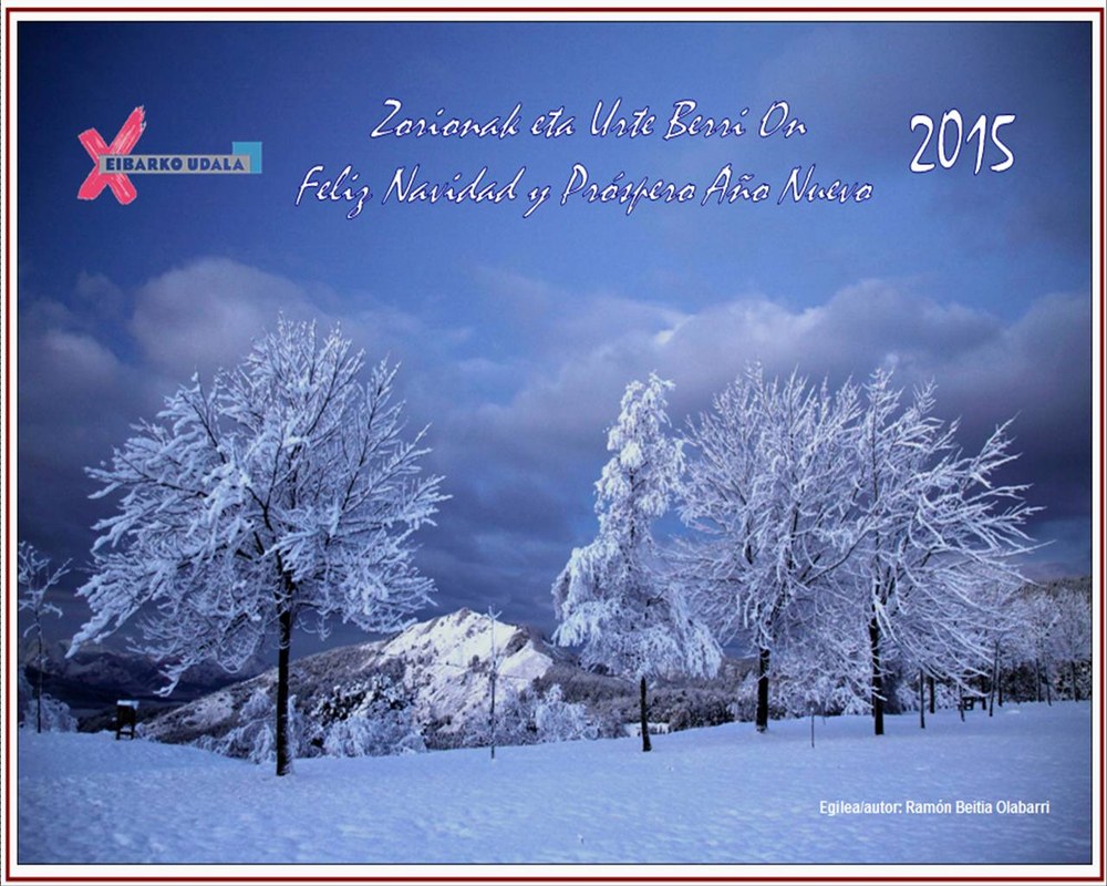 ¡Feliz Navidad y próspero Año Nuevo!