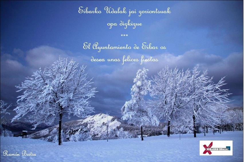 ¡Feliz Navidad y próspero Año Nuevo!