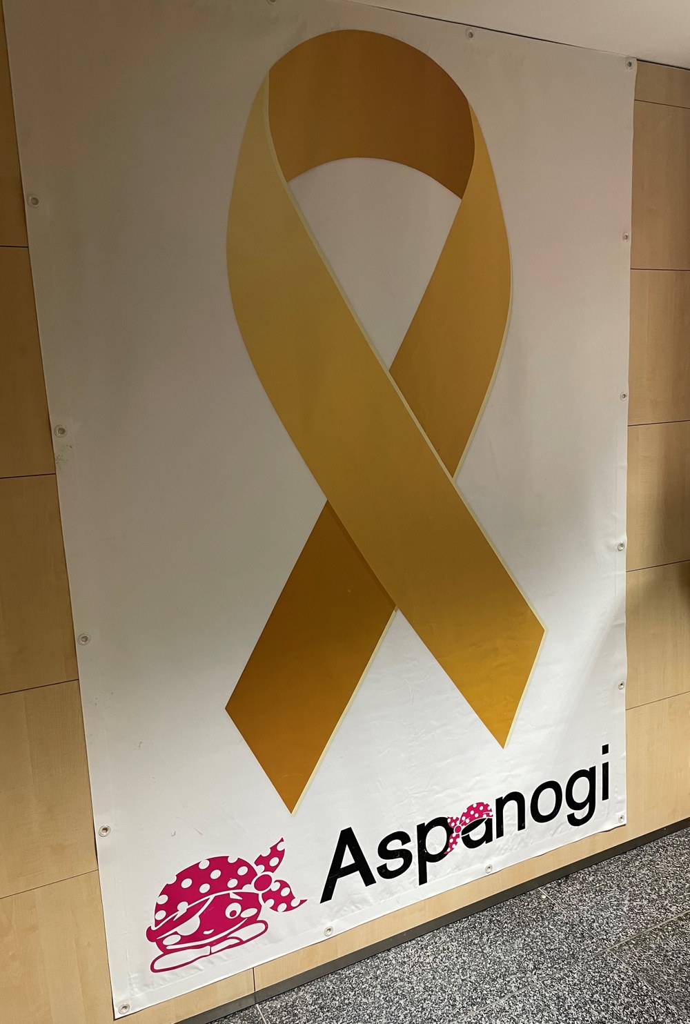 Eibarko Udalak bat egin du Haur Minbiziaren Sentsibilizazio Hilabetearekin Artxiboko argazkia.