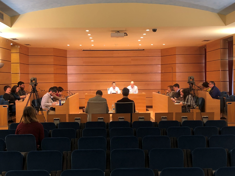 udalbatzarreko irudia