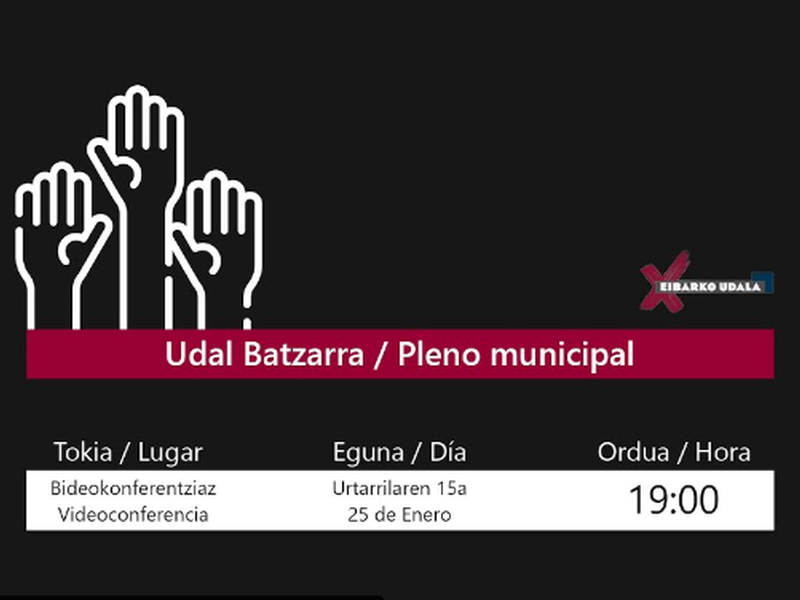 udalbatzarreko irudia