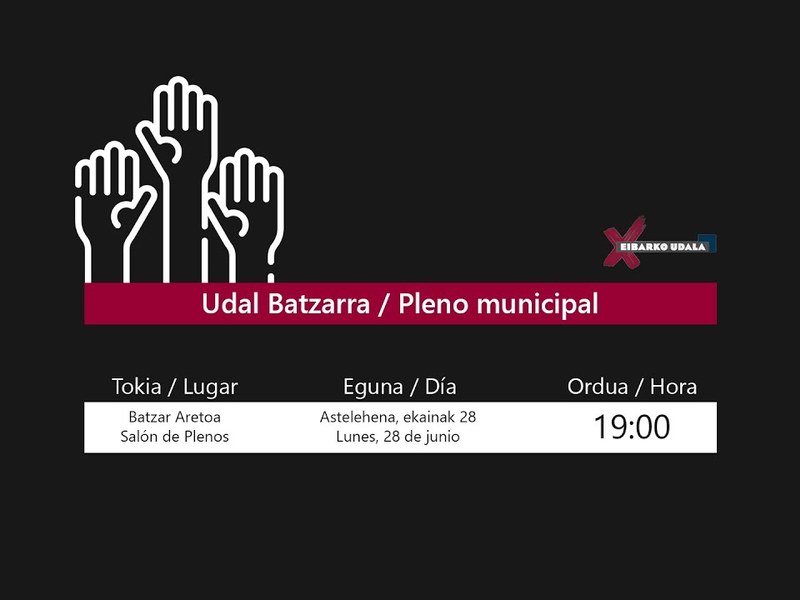 udalbatzarreko irudia