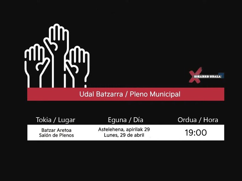 udalbatzarreko irudia