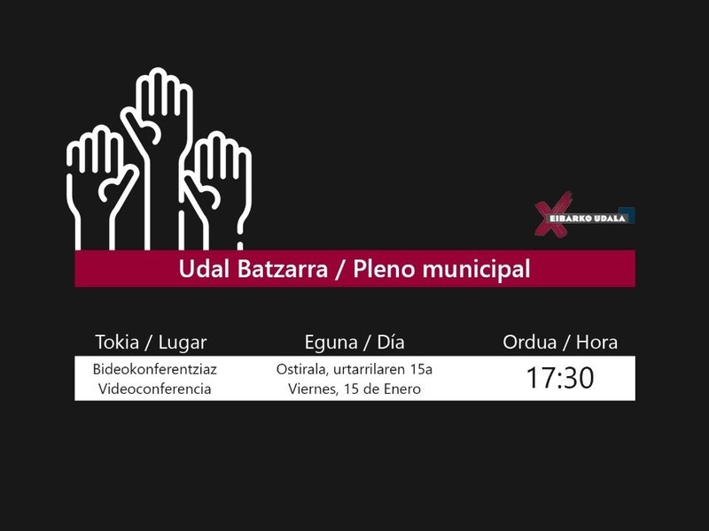 udalbatzarreko irudia