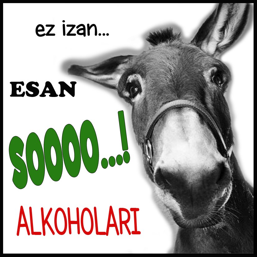 2014ko "Alkohol gehiegi ez edateko umore kutsua duen pegatina" aukeratu da