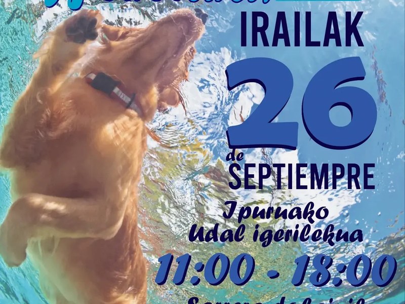 Eibarren igerilekuak zabalik egongo dira  txakurrentzat, “Txakurrak uretara!” programaren beste edizio batean