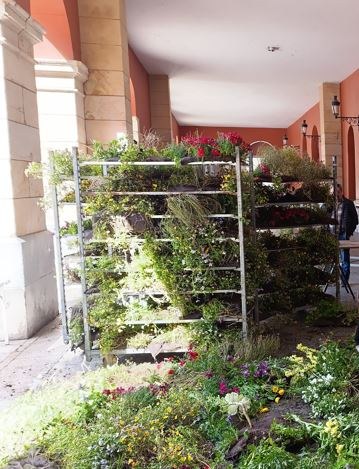 Landaketa berria egiteko, lorategietatik erretiratu diren sasoiko loreak doan banatuko ditu Udalak asteazkenean, hilak 21 Artxiboko argazkia.