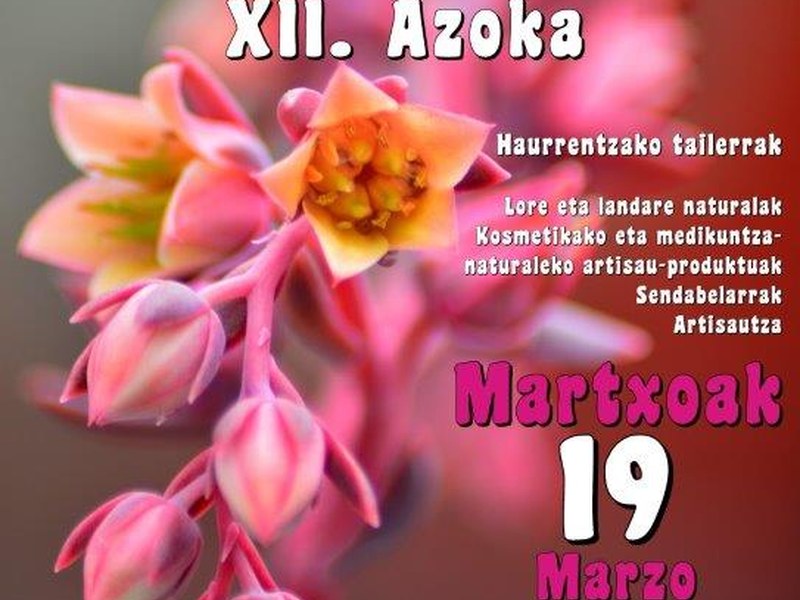 Lore, Landare eta Zuhaitzen Azokaren kartela.
