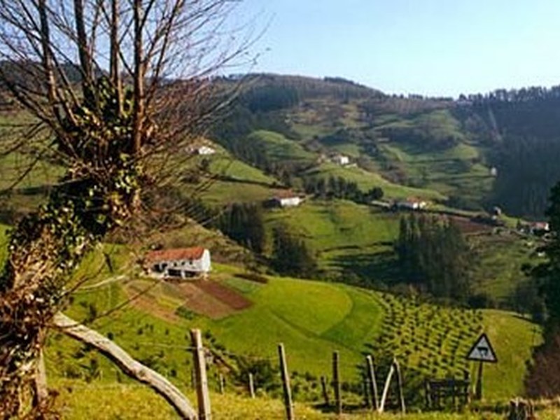 Argazkia: www.egoibarra.eus