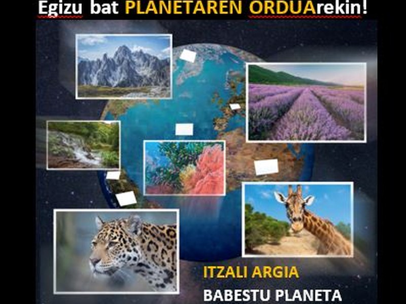 Kartela.