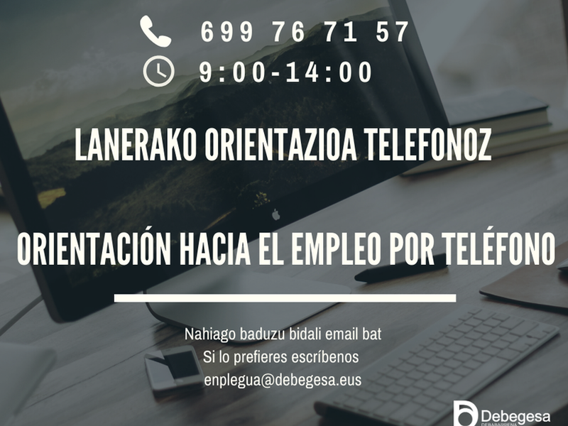 Lan bilaketarako orientazioa telefonoz Debegesa aholkularitza