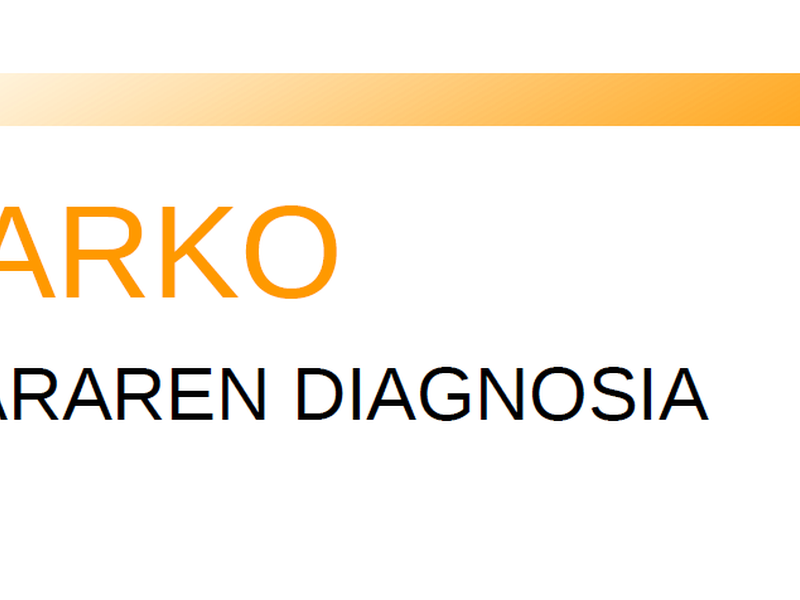 Diagnostiko txostenaren azala.