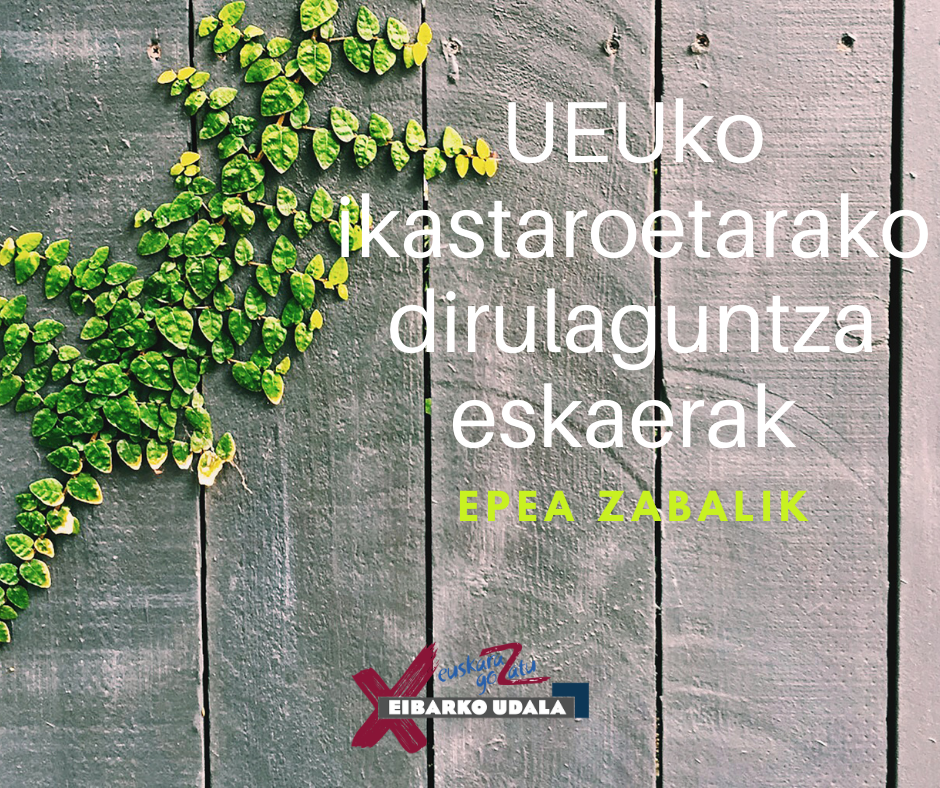 UEUko ikastaroak egiteko dirulaguntzak eskatzeko epea zabalik dirulaguntzen iragarkia