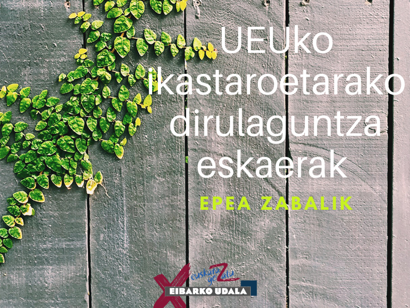 Dirulaguntza eskaera