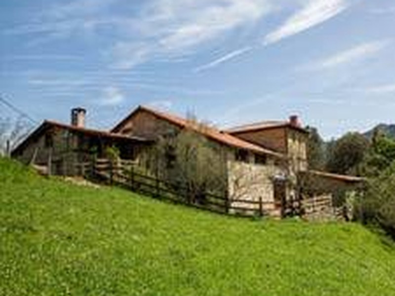 SOSOLA