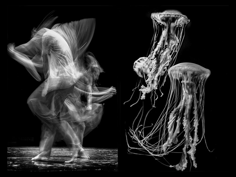 Dance de l’eau - Elena Plaza plaza