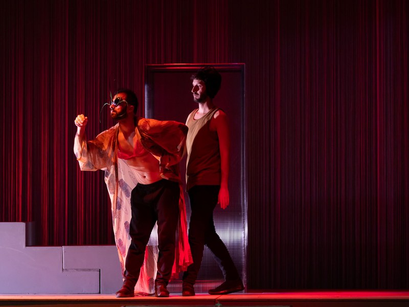 El Dragón de Oro - Sarabela Teatro